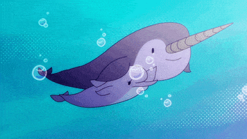 animation dolphin GIF by Cartoon Hangover
