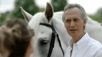horse smile GIF by The Detour