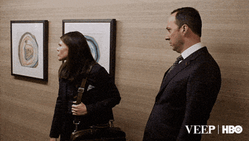 julia louis-dreyfus GIF by Veep HBO