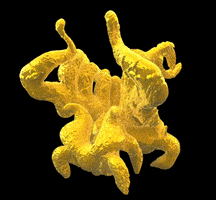 3d sculpture GIF by Miron