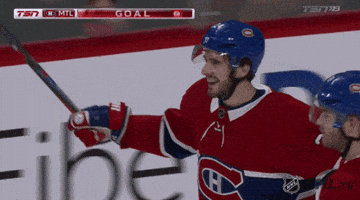 ice hockey hug GIF by NHL