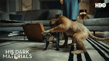 Lyra GIF by His Dark Materials
