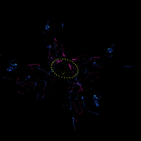 Art 3D GIF by The NGB