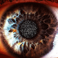 animation animated gif GIF by weinventyou