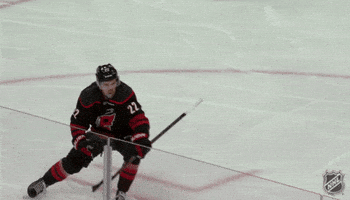 Happy Carolina Hurricanes GIF by NHL