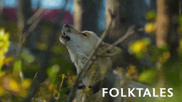 Wolf Howling Dog GIF by Magnolia Pictures