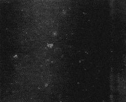 film pop GIF by hoppip