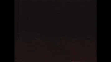 Music Video GIF by Blossöm Records