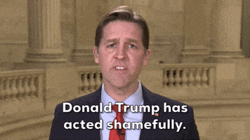 Donald Trump Insurrection GIF by GIPHY News