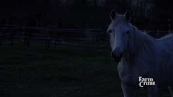 walk away over it GIF by CBC