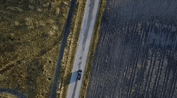 film vintage GIF by Jessica Lea Mayfield