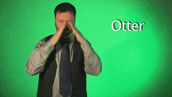 sign language otter GIF by Sign with Robert