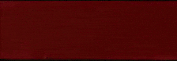 sub pop intro GIF by Clipping.