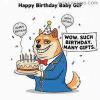 Happy Birthday Wow GIF by Doge Pound