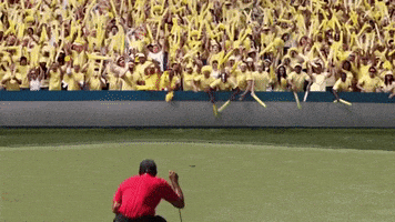 Tiger Woods Sport GIF by sportseditor