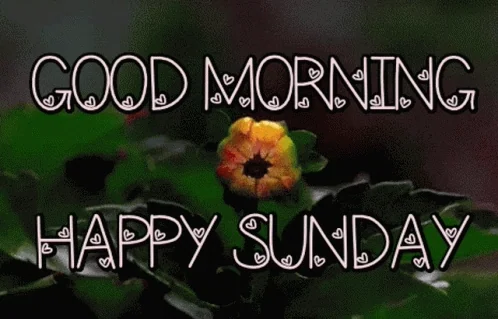 Happy Sunday GIF