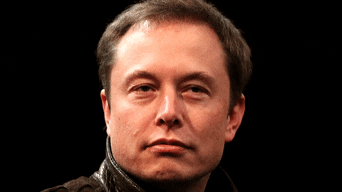 Elon’s DOGE Time Finally Drops