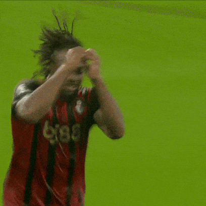 Happy Premier League GIF by AFC Bournemouth