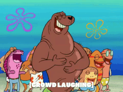 season 6 GIF by SpongeBob SquarePants