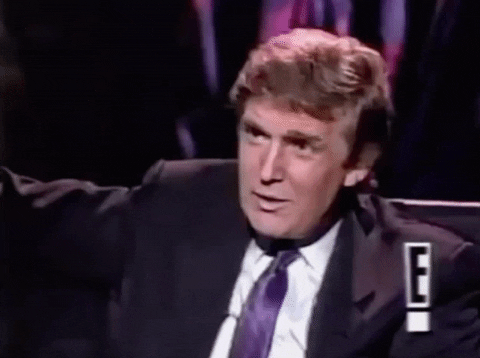 Surprised Donald Trump GIF
