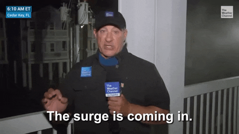 💸 Summer Surge Is Here