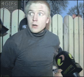 GIF by Demic