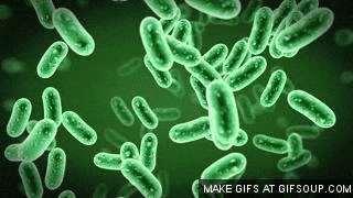 As Cases of Flesh-Eating Bacteria Rise in Florida, Experts Share How to Stay Safe This Summer