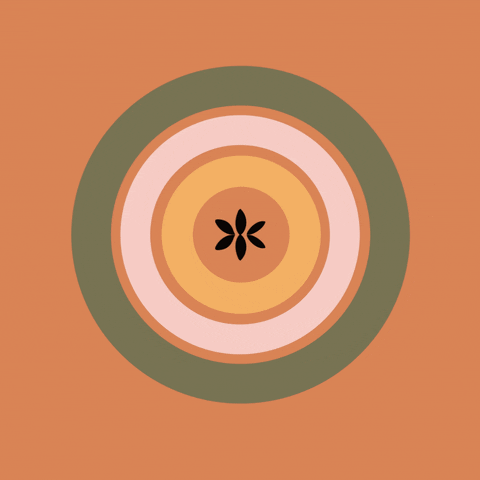 Adventuring through the Canadian Rockies