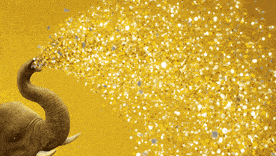 Gold Is Shining Again