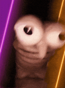 Adventuring through the Canadian Rockies