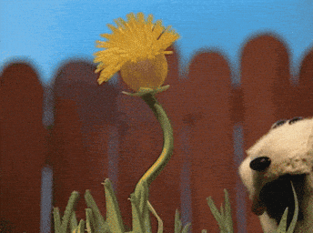 Weed Whacking & Wordsmithing: A Habitat Restoration & Writing Event
