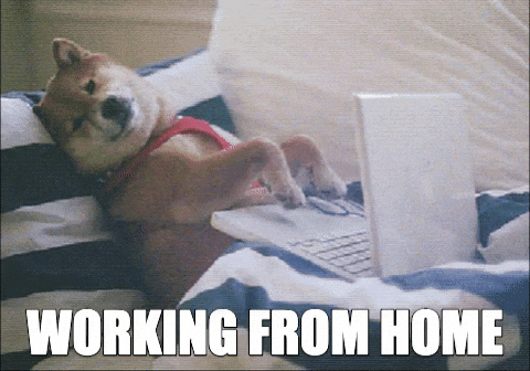Microsoft's Bold Move: Could the Future of Work Mean Less Remote Flexibility? 