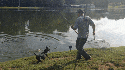 The Guy With a $700 Fishing Rod Still Isn’t Catching Fish