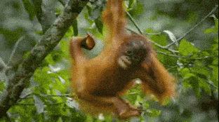 🥯 Your Weekend in ARL: new eats, $1 mimosas, and major market hauls (Nov. 6-9) 