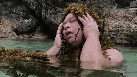 Jazz Seaweed GIF by The Itchyworms