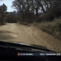 Fail Game Over GIF by FIA World Rally Championship