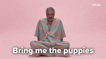 Taika Waititi Puppies GIF by BuzzFeed