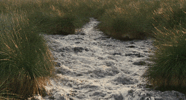 landscape river GIF by Head Like an Orange