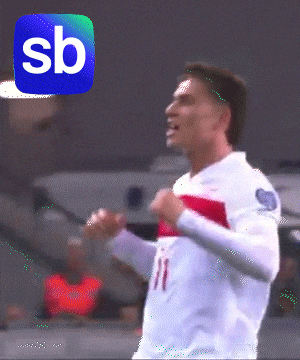Juventus Yes GIF by Sporbulteni