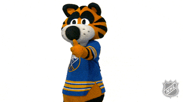 Ice Hockey Thumbs Up GIF by NHL