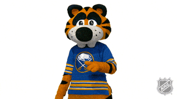 Ice Hockey Thumbs Up GIF by NHL