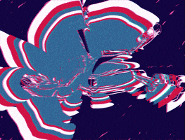 GIF by Jeanjean Banania