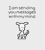 I Love You Dogs GIF by Chippy the Dog