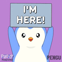 Here I Am GIF by Pudgy Penguins
