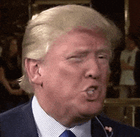 donald trump face GIF