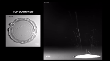 rain physics GIF by MIT 