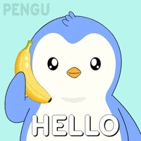 Penguin Hello GIF by Pudgy Penguins