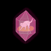Cat Pink GIF by littlekingdoms
