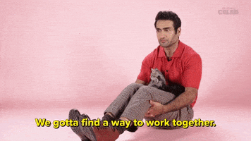 International Cat Day Kittens GIF by BuzzFeed