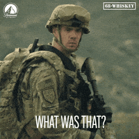 Sounds What GIF by Paramount Network